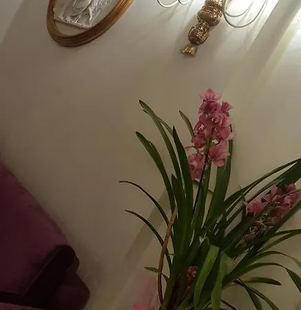בית הארחה Stella Del Mar S.stefano